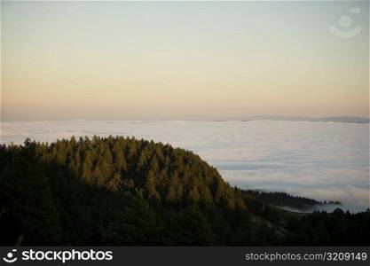 High angle view of a hill surrounded by clouds, Mt. Tamalpais State Park, California, USA
