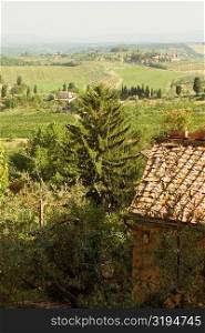 High angle view of a house with vineyard in the background, Siena Province, Tuscany, Italy