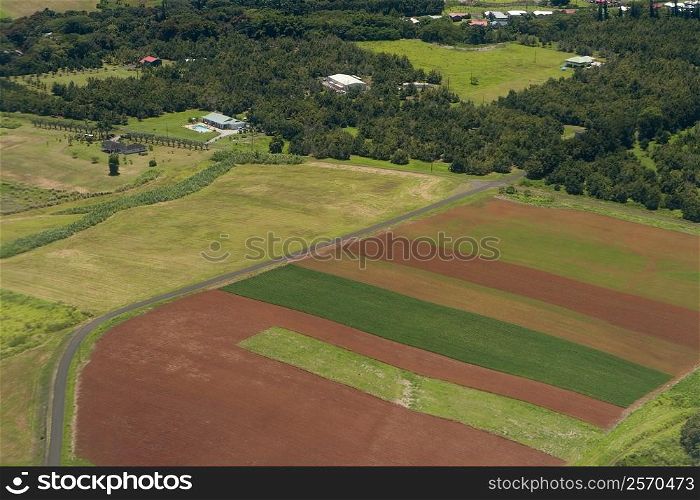 High angle view of a landscape, Hilo, Big Island, Hawaii Islands, USA