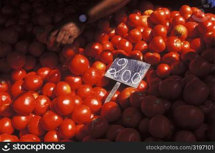 High angle view of a person&acute;s hand picking tomatoes