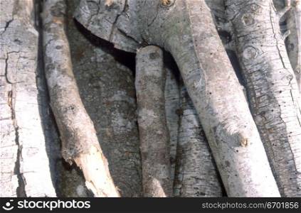 High angle view of a pile of wooden logs
