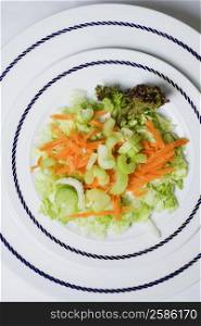High angle view of a plate of salad