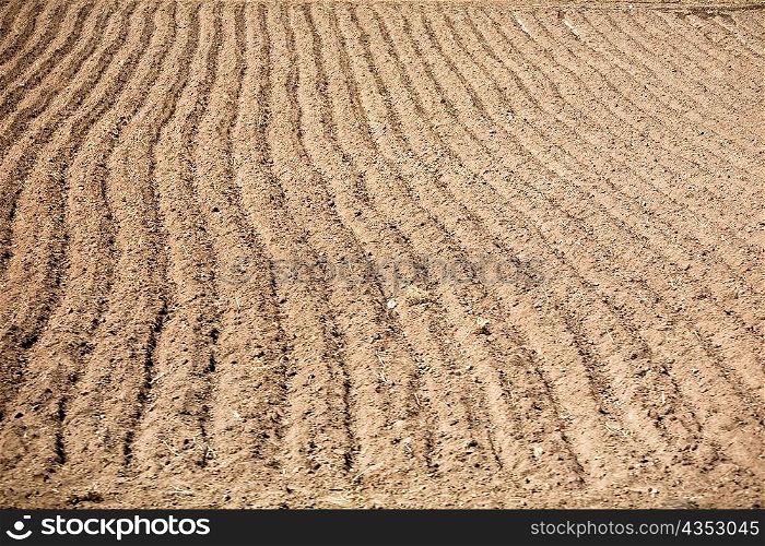 High angle view of a plowed field, Puno, Peru