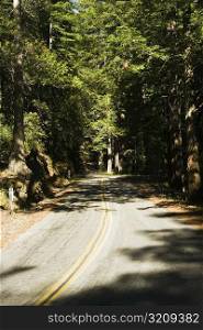 High angle view of a road in the wilderness, Mt. Tamalpais State Park, California, USA