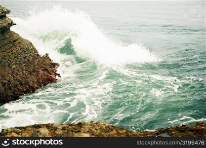 High angle view of a rock formation, La Jolla Reefs, San Diego Bay, California, USA