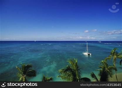 High angle view of a sailboat in the sea, Hawaii, USA