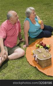 High angle view of a senior couple at a picnic
