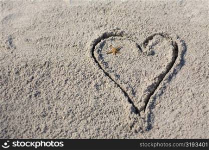 High angle view of a starfish in a heart drawn in sand