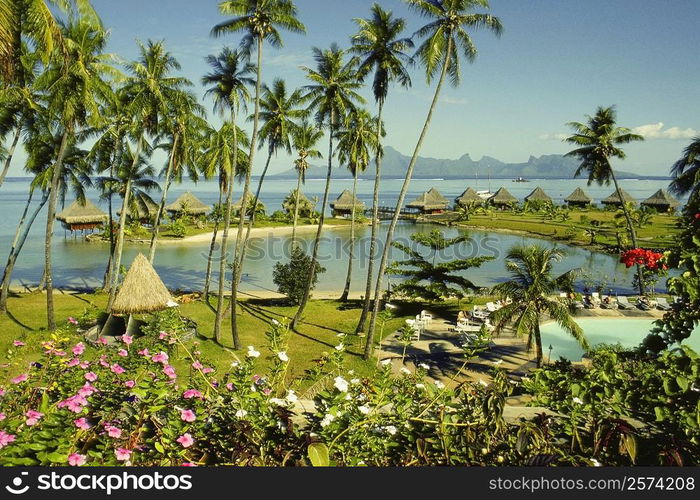 High angle view of a stilt house, Bure Hut Hotel, Papeete, Tahiti, Society Islands, French Polynesia