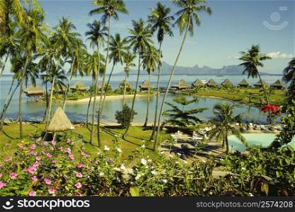 High angle view of a stilt house, Bure Hut Hotel, Papeete, Tahiti, Society Islands, French Polynesia