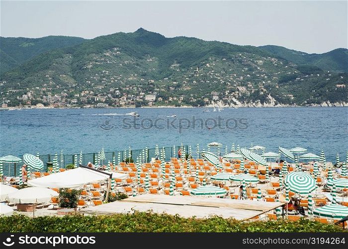 High angle view of a tourist resort, Italian Riviera, Mar Ligure, Santa Margherita Ligure, Genoa, Liguria, Italy