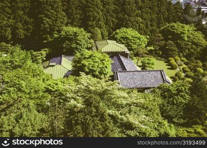 High angle view of a tourist resort surrounded by trees, Hakone, Kanagawa Prefecture, Japan