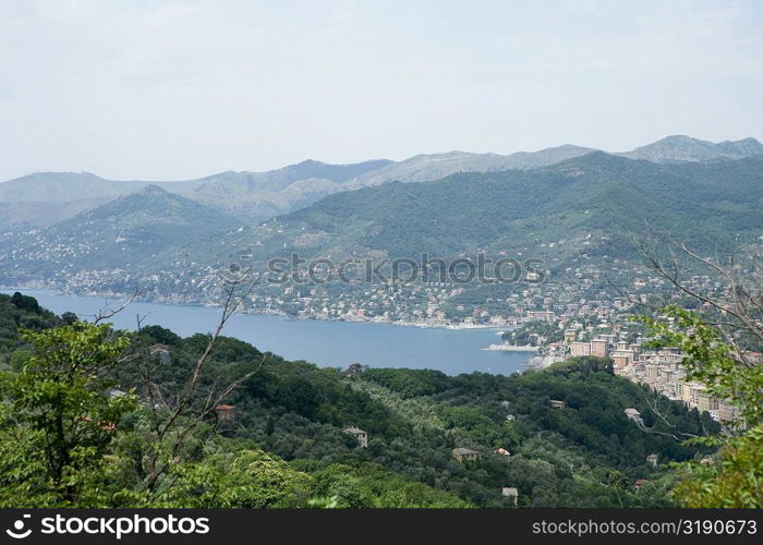 High angle view of a town, Italian Riviera, Genoa Province, Liguria, Italy