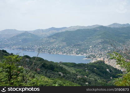 High angle view of a town, Italian Riviera, Genoa Province, Liguria, Italy
