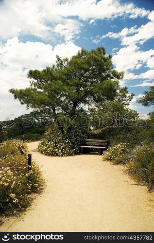 High angle view of a trail in Torrey Pines State Reserve, San Diego, California, USA