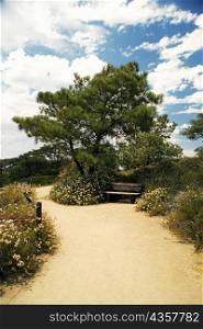 High angle view of a trail in Torrey Pines State Reserve, San Diego, California, USA