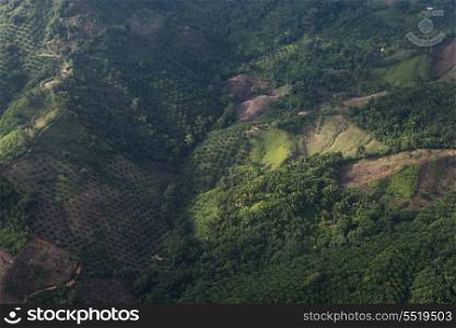 High angle view of a valley, Bay Islands, Honduras