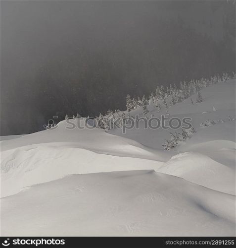 High angle view of a valley covered with fog, Whistler, British Columbia, Canada