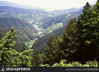 High angle view of a valley, Mountain Valley, Kochi, Shikoku, Japan