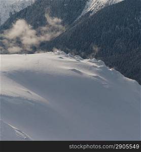 High angle view of a valley, Whistler, British Columbia, Canada