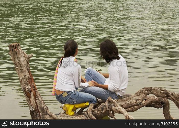 High angle view of a young couple sitting on a tree over a lake