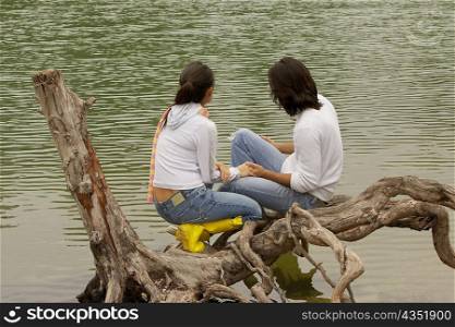 High angle view of a young couple sitting on a tree over a lake