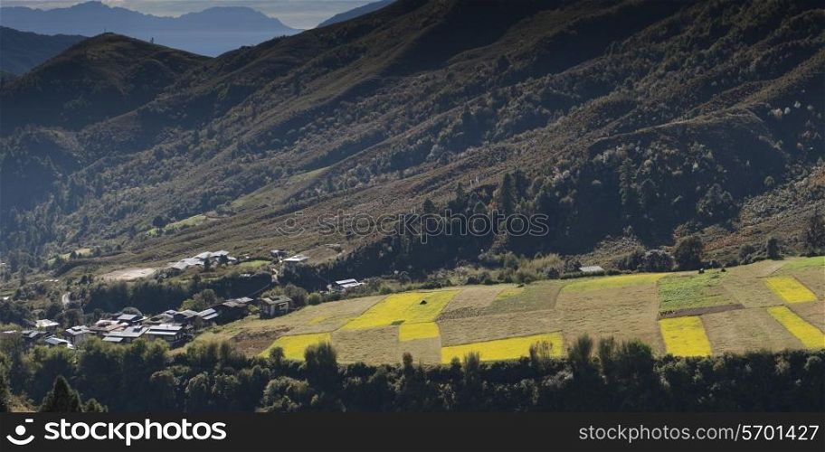 High angle view of agricultural fields with Rukubji village in the background, Trongsa District, Bhutan