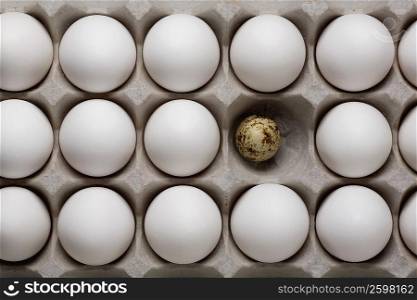 High angle view of an egg carton