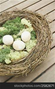 High angle view of animal eggs in a nest