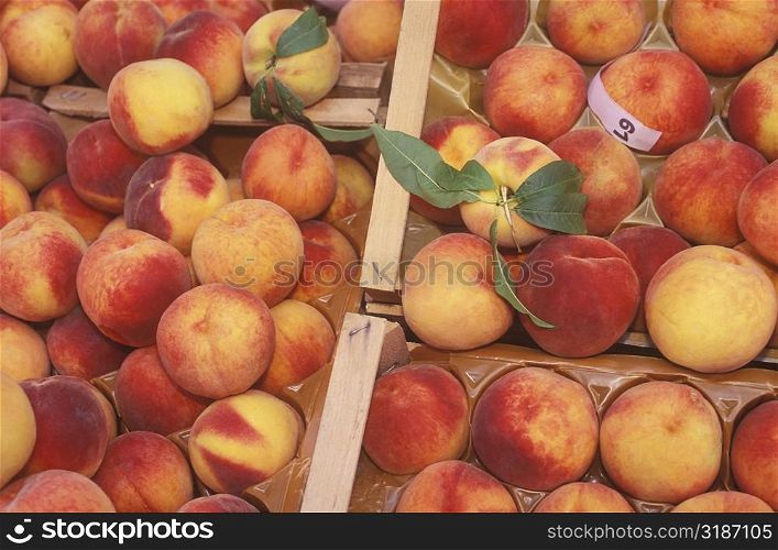 High angle view of apples in wooden crates