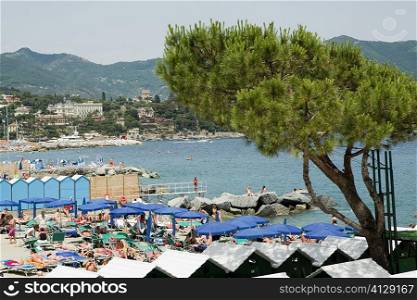 High angle view of beach umbrellas on the beach, Italian Riviera, Santa Margherita Ligure, Genoa, Liguria, Italy