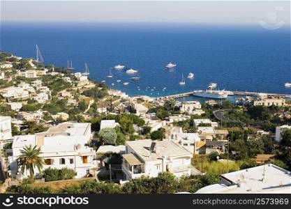 High angle view of boats at the harbor, Marina Grande, Capri, Campania, Italy