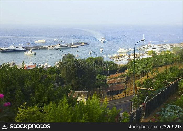 High angle view of boats in the sea, Marina Grande, Capri, Campania, Italy