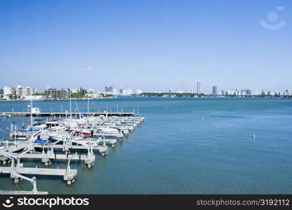 High angle view of boats moored at a dock