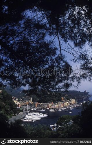High angle view of boats moored at a harbor, Italy