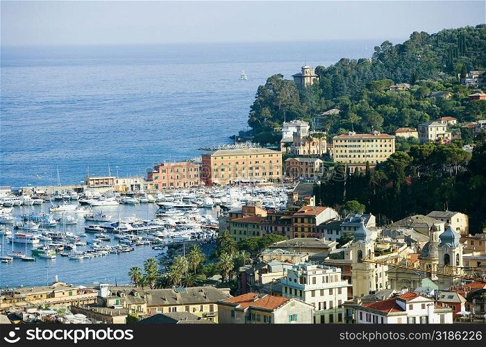 High angle view of buildings at the seaside, Italian Riviera, Santa Margherita Ligure, Genoa, Liguria, Italy