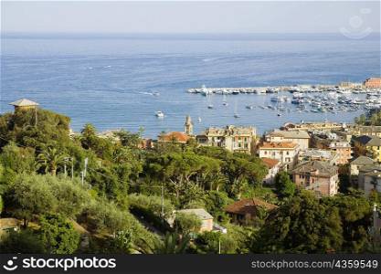 High angle view of buildings at the seaside, Italian Riviera, Santa Margherita Ligure, Genoa, Liguria, Italy