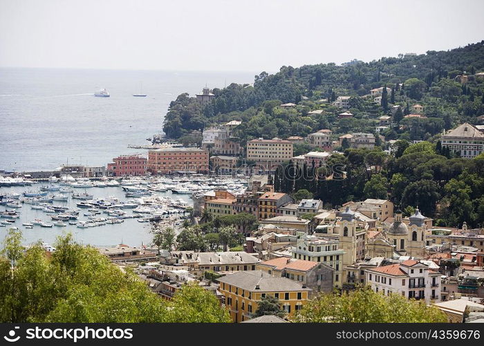 High angle view of buildings at the seaside, Italian Riviera, Santa Margherita Ligure, Genoa, Liguria, Italy