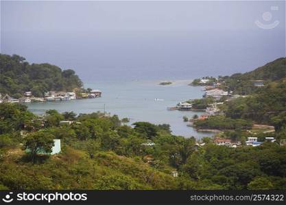 High angle view of buildings at the seaside, Jonesville, Roatan, Bay Islands, Honduras