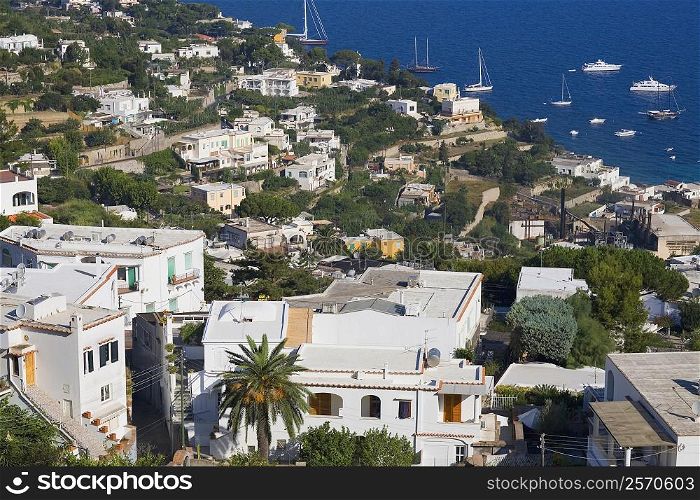 High angle view of buildings in a town, Capri, Campania, Italy