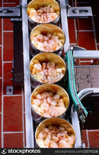 High angle view of canned seafood on an assembly line, Maryland, USA