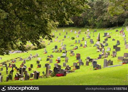 High angle view of cemetery, Granvin, Hordaland County, Norway