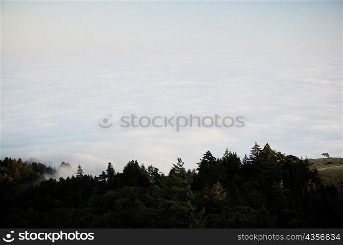 High angle view of clouds around a hill
