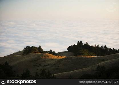 High angle view of clouds around a hill, Mount Tamalpais State Park, Marin County, California, USA