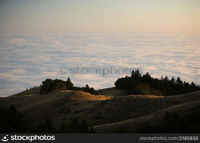 High angle view of clouds around a hill, Mt. Tamalpais State Park, California, USA