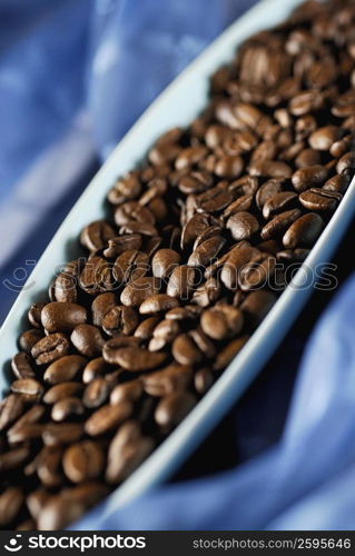 High angle view of coffee beans in a tray