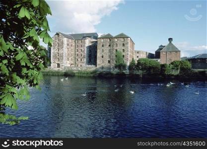 High angle view of ducks in water, Lee River, Cork, Republic of Ireland