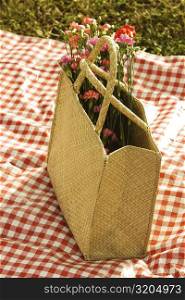 High angle view of flowers in a bag