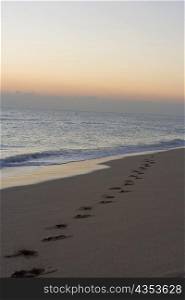 High angle view of footprints on the beach, Miami, Florida, USA