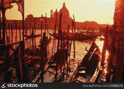 High angle view of gondolas moored in a harbor, Venice, Italy